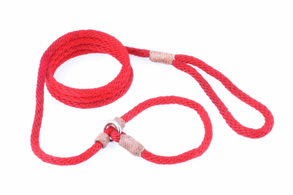 Alvalley Nylon Slip Leash With 2 Stoppers