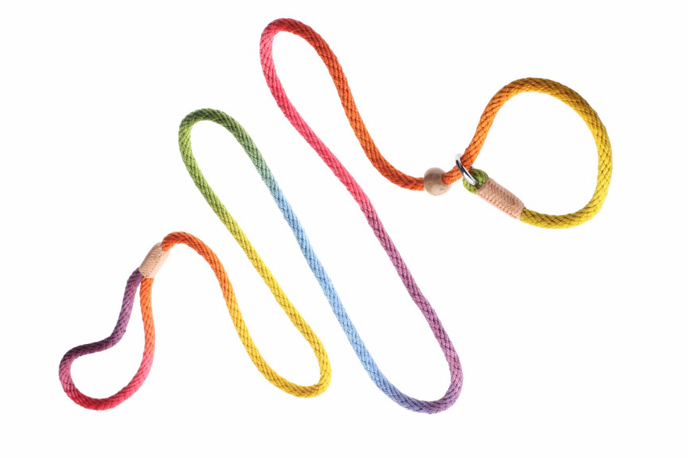 Alvalley Nylon Slip Leash With 2 Stoppers