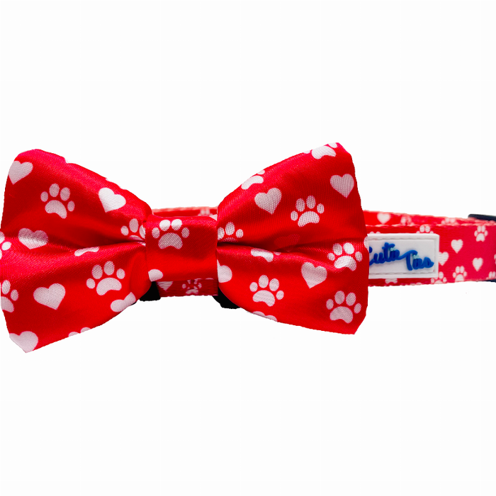 Cutie Ties Dog Bow Tie