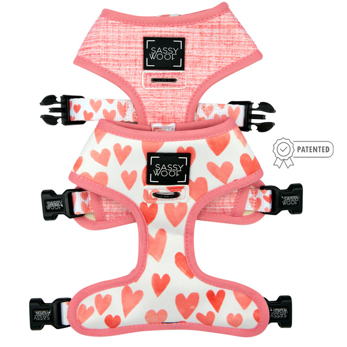 Reversible Harness 
