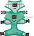 Reversible Harness 