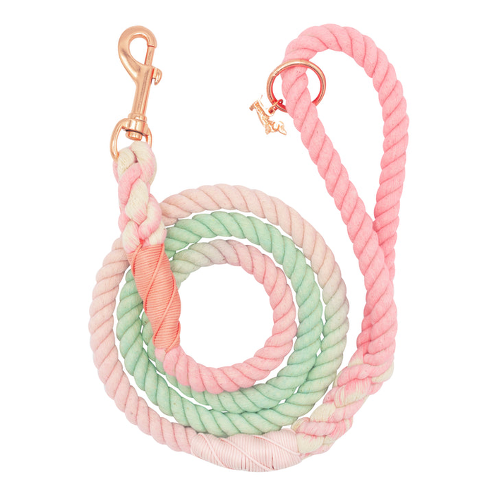 Rope Leash 