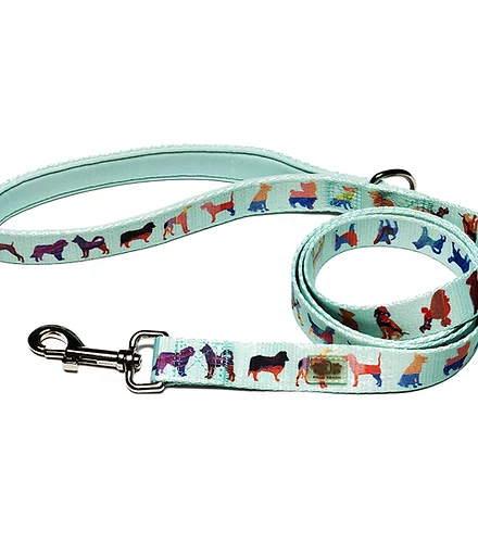 Dog Leash 