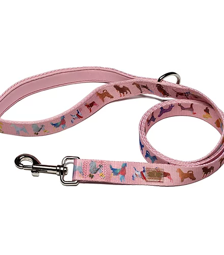 Dog Leash 