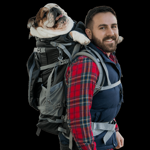 Rover 2 | Big Dog Carrier & Backpacking Pack