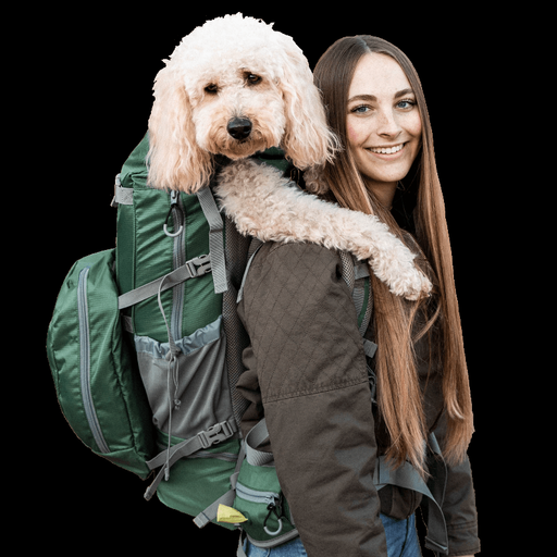 Rover 2 | Big Dog Carrier & Backpacking Pack