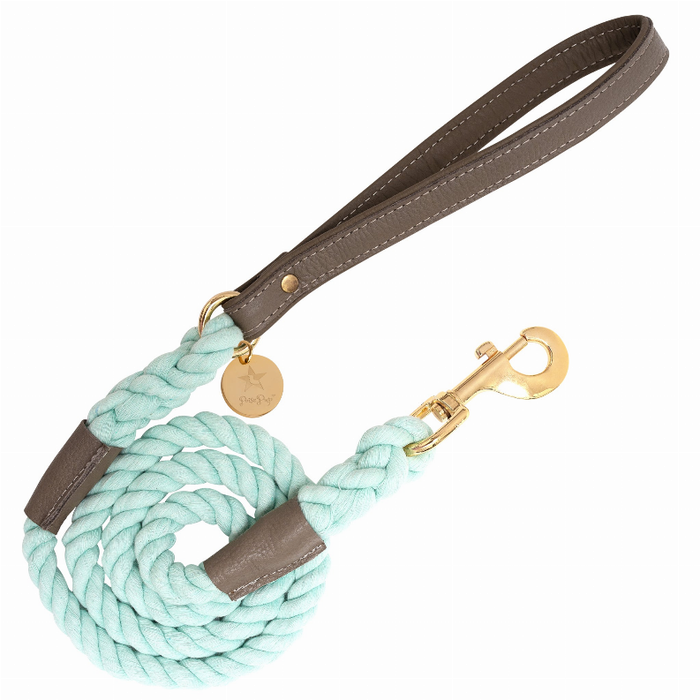 Dog Leash