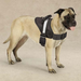 Guardian Gear Excursion Harnesses 36-46In 