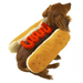 Casual Canine Hot Diggity Dog Costume  