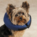 Total Pet Health Inflatable Collar 
