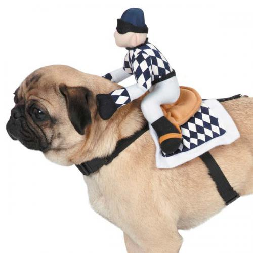 ZZ Show Jockey Saddle Costume 
