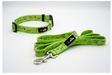 The Dowg Dog Leash