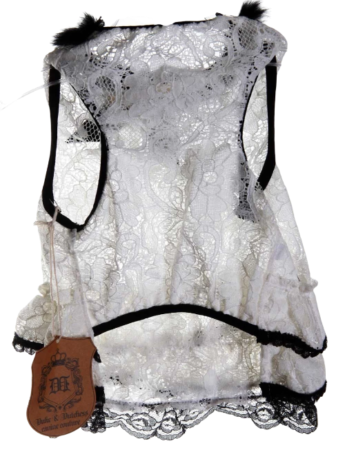 Lace Dress For Girl Dogs
