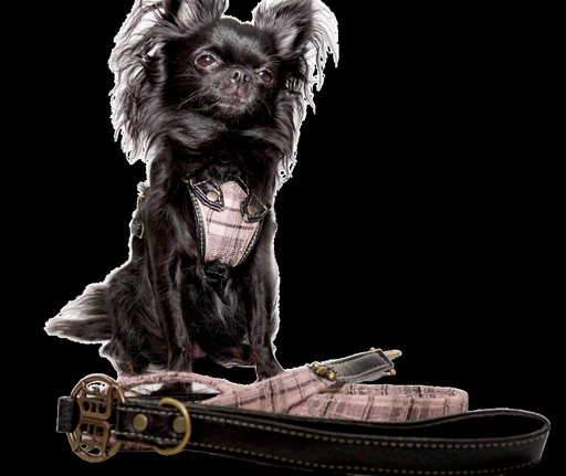 Royal Academy Leash