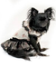 Sweetheart Dress for Dogs