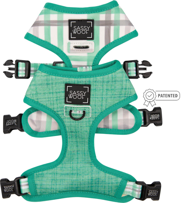 Reversible Harness