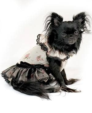 Sweetheart Dress for Dogs